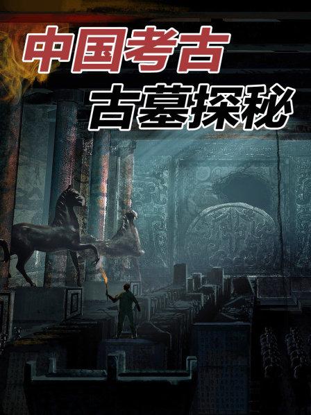 《中国考古古墓探秘》（33集全）