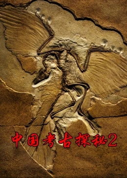 《中国考古探秘》第二部（2011）