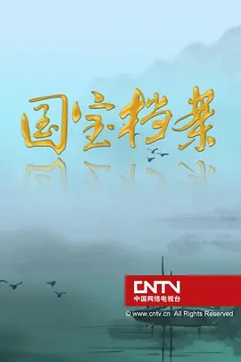 《国宝档案》